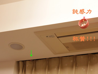 b0158061_046886.jpg