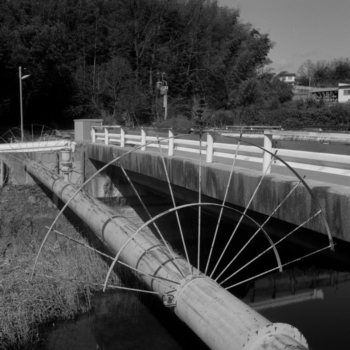 b0175964_20311889.jpg