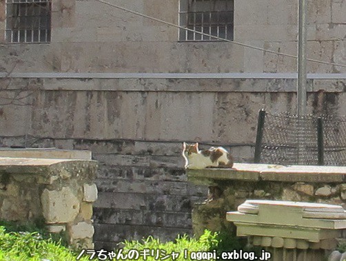 f0037264_551885.jpg
