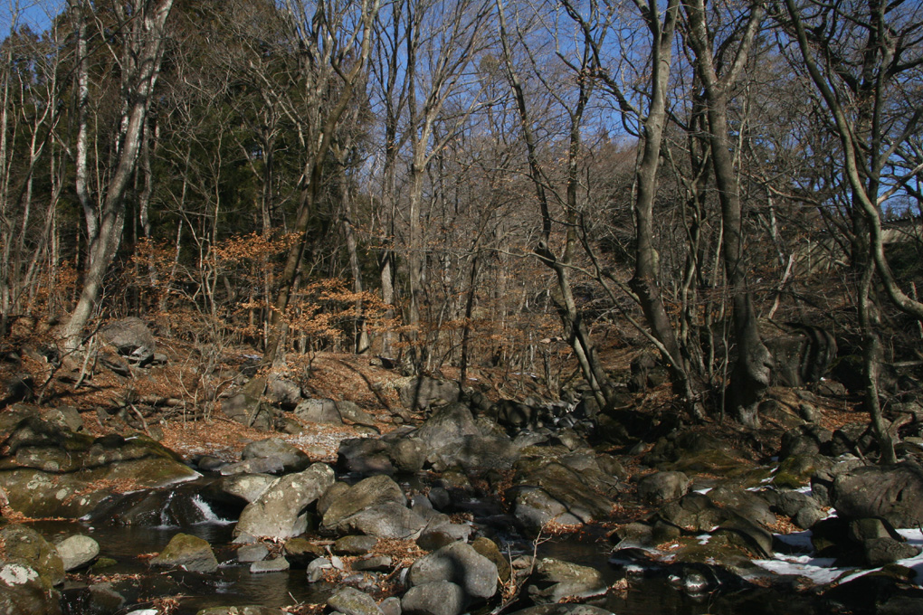 e0118274_21212171.jpg