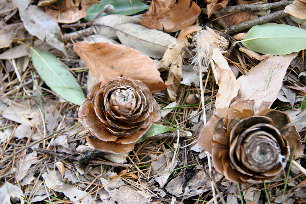 e0118274_21224434.jpg