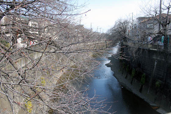 e0112077_161027.jpg