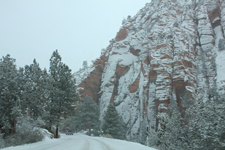 e0203477_4351241.jpg