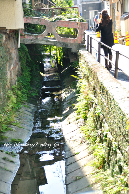 e0148083_138179.jpg