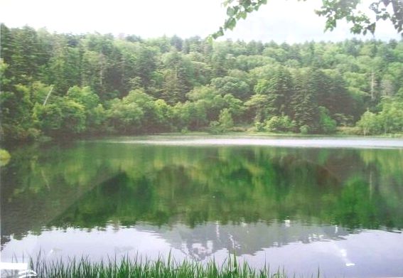 e0258208_6553442.jpg