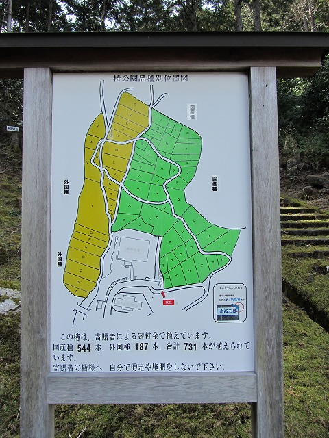 d0154609_1845492.jpg