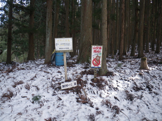 d0006512_7491878.jpg