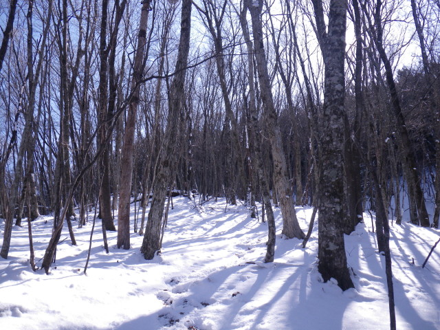 d0006512_7512434.jpg