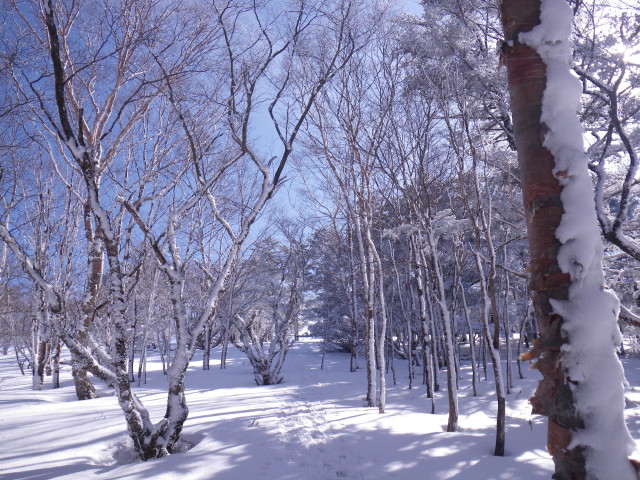 d0006512_751424.jpg
