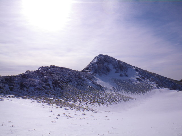 d0006512_7554542.jpg
