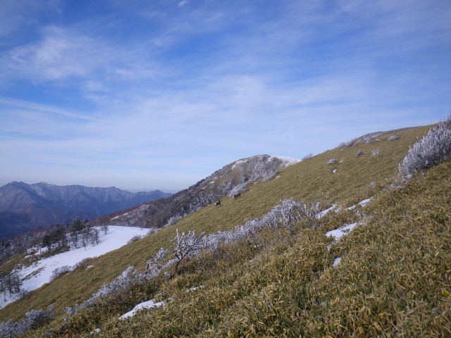 d0006512_812529.jpg