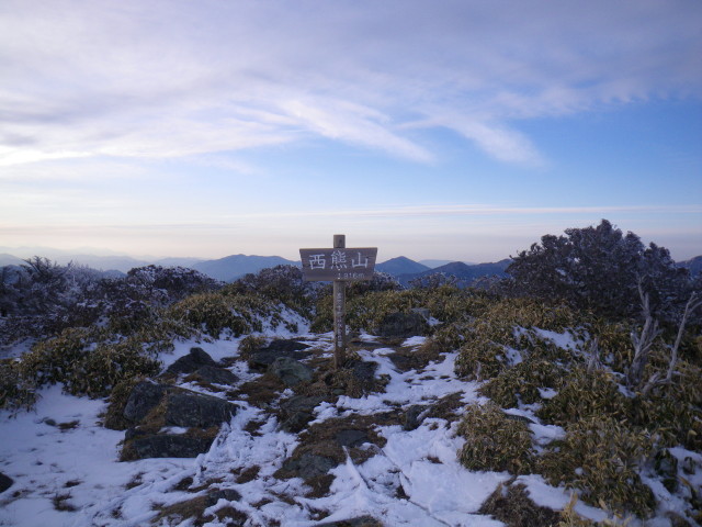 d0006512_83209.jpg