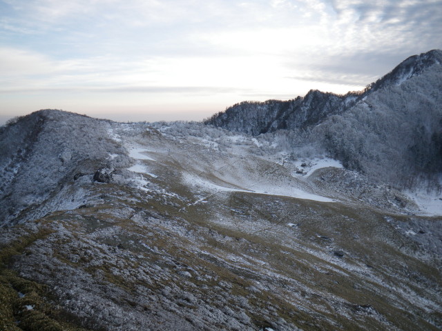 d0006512_852162.jpg