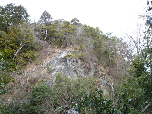 d0170615_9503497.jpg