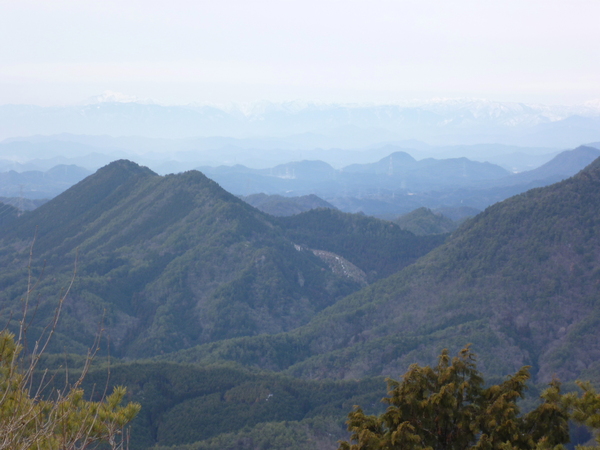 d0170615_9514483.jpg