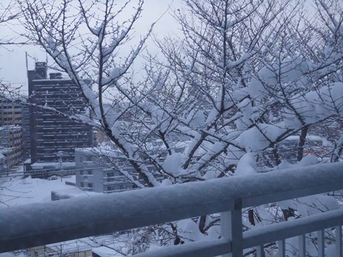 c0172318_15231278.jpg