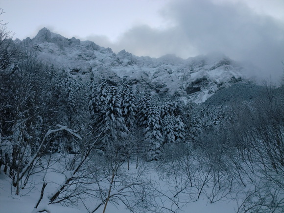 c0210618_23531780.jpg