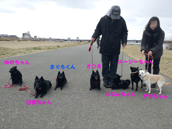 b0066826_1152832.gif