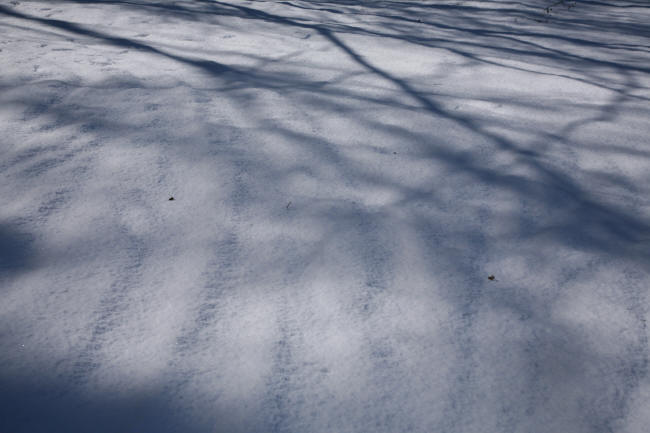 f0017530_22102465.jpg