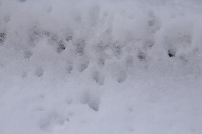 f0017530_2262172.jpg