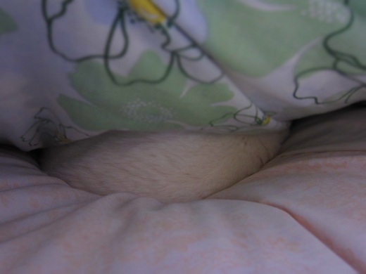 f0002833_2305533.jpg