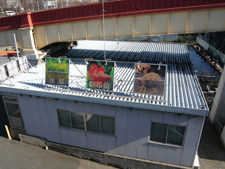 c0250835_1451643.jpg