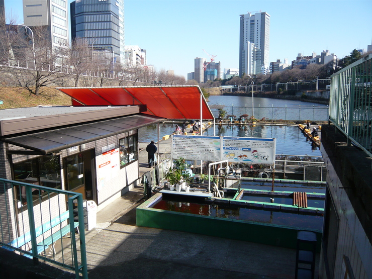 c0250835_1452502.jpg