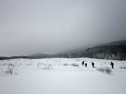 f0234936_7263682.jpg