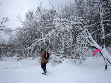 f0234936_7283092.jpg