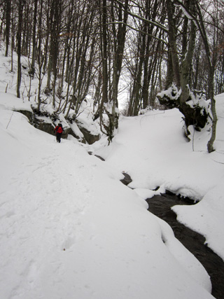 f0234936_7301098.jpg