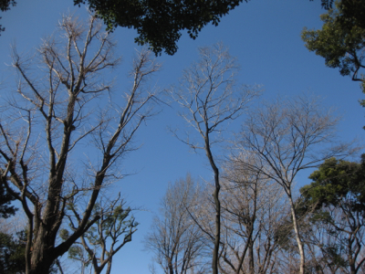 f0141840_156370.jpg