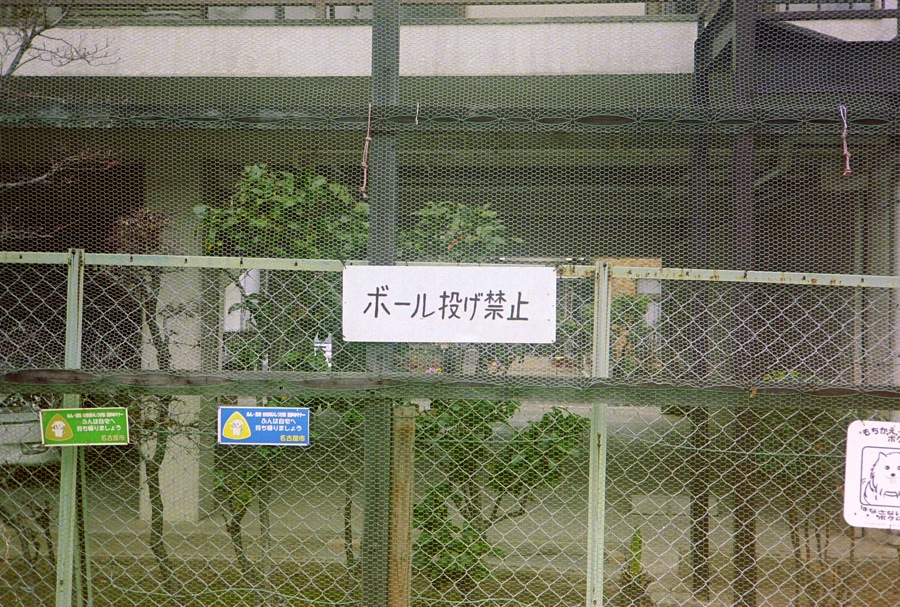 d0089742_21433451.jpg