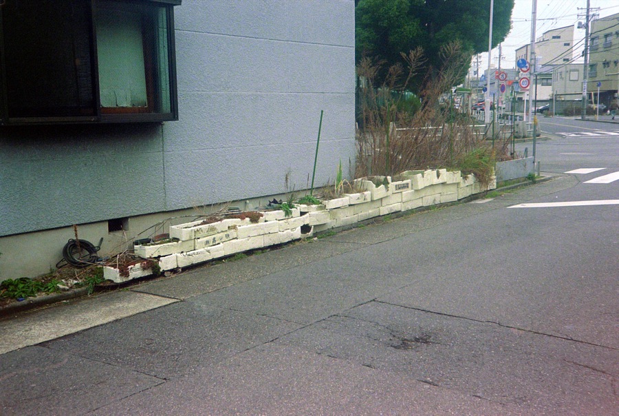 d0089742_2143730.jpg