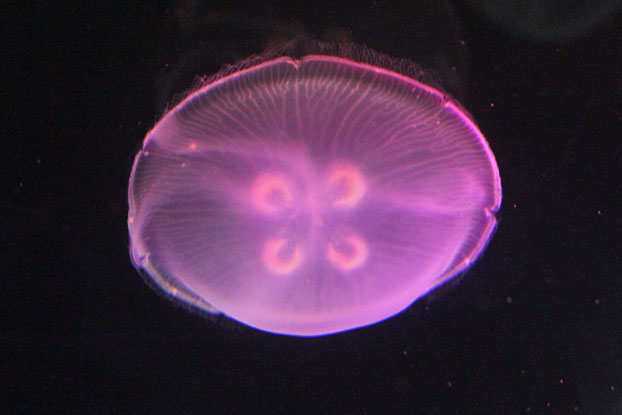 e0294253_19262328.jpg