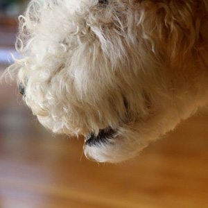 a0187356_13172789.jpg