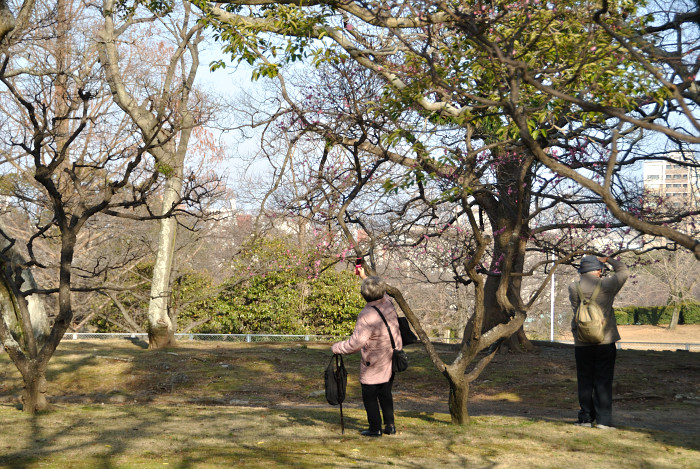f0209256_0232115.jpg
