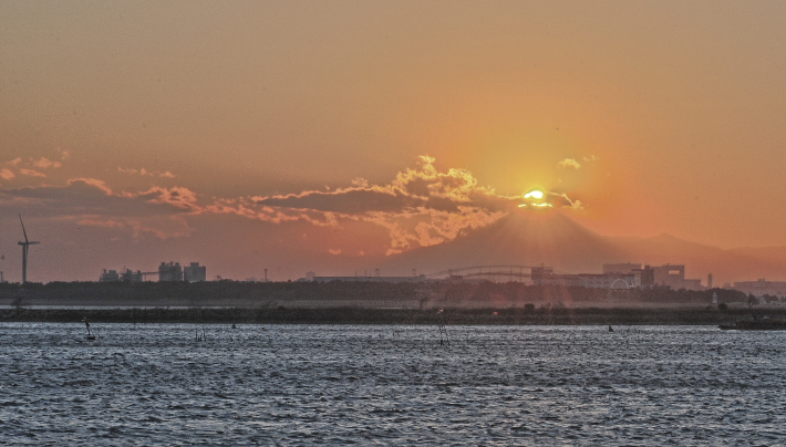 a0150260_055535.jpg