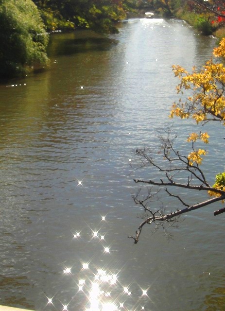 c0119160_2120639.jpg