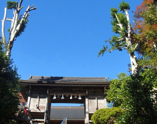 c0119160_2144450.jpg