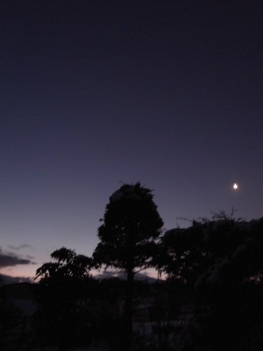 c0166668_8502830.jpg