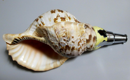 f0195172_2336173.jpg