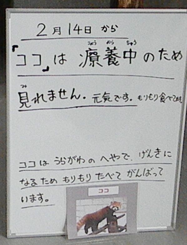 b0014576_2342916.jpg