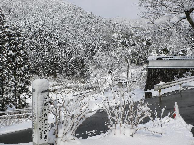 b0042882_20584321.jpg