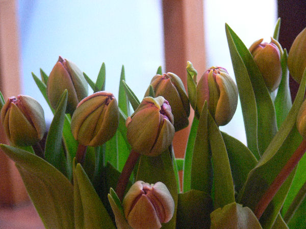e0140986_1353546.jpg