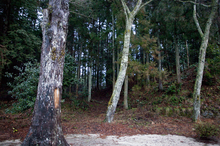 c0193289_2074697.gif