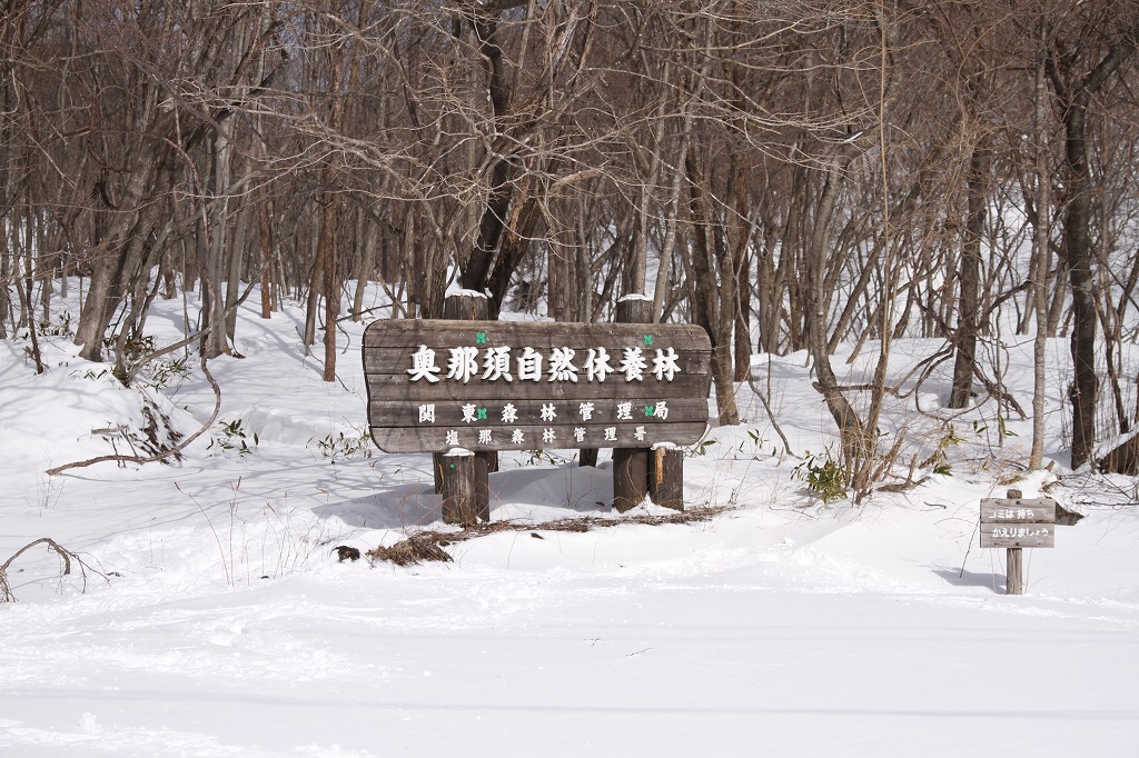 a0090292_1522567.jpg