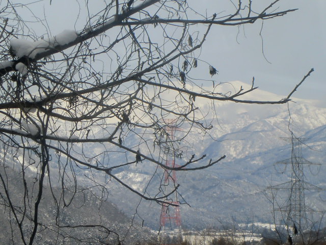 b0044296_17172214.jpg