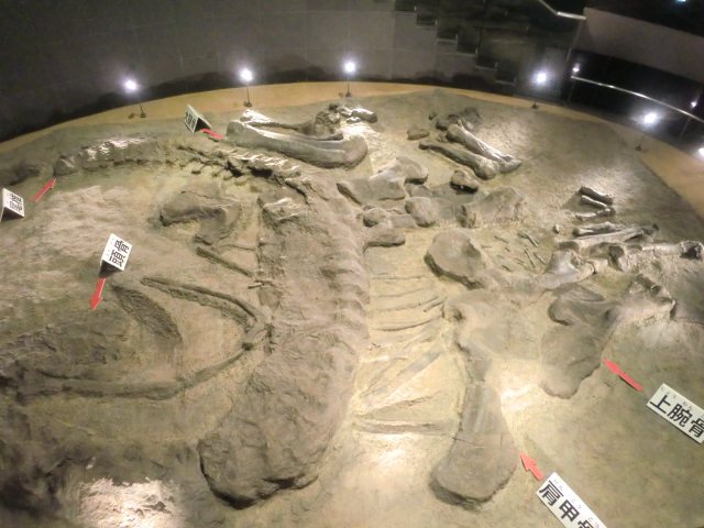 b0044296_17323865.jpg