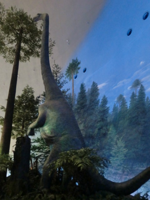 b0044296_17353876.jpg