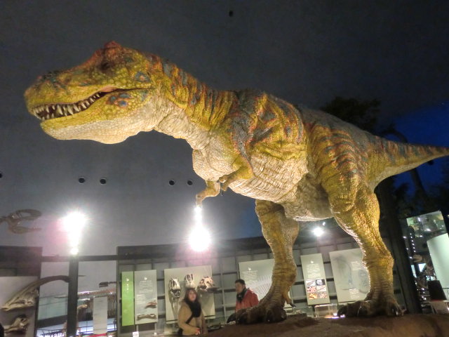 b0044296_17411480.jpg
